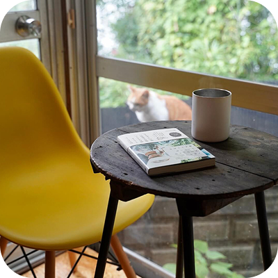 尾道画像５：テーブル越しの猫